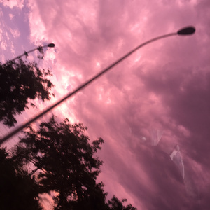 日本人吸舌添泬视频
