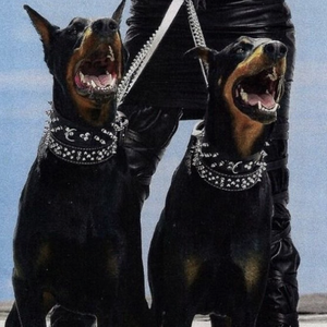 日本人吸舌添泬视频
