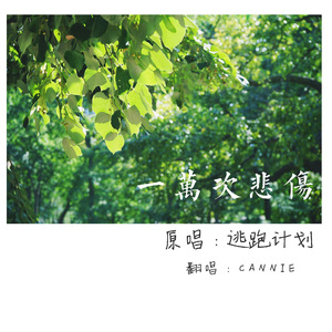 日本人吸舌添泬视频
